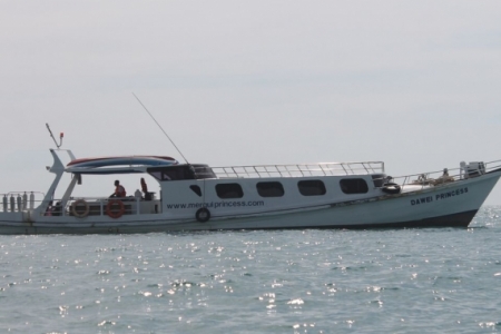 DSF01 - Dawei Pêche sportive