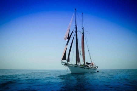 Aventure de la voile 6 jours 5 nuits